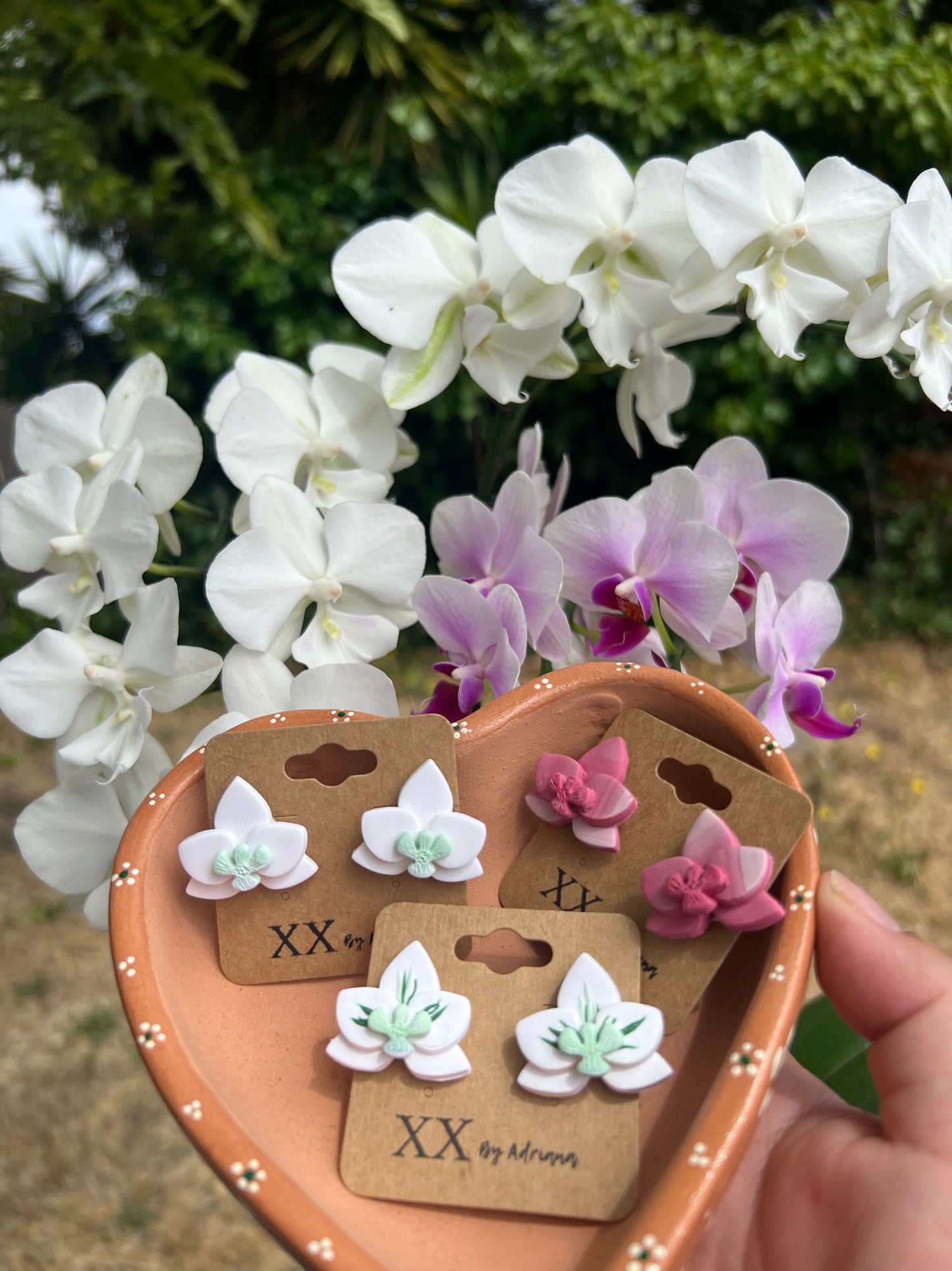 Orquídeas