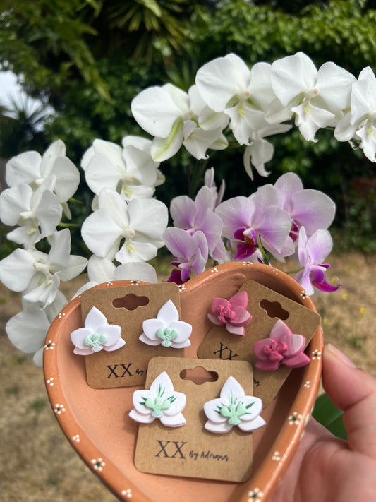 Orquídeas